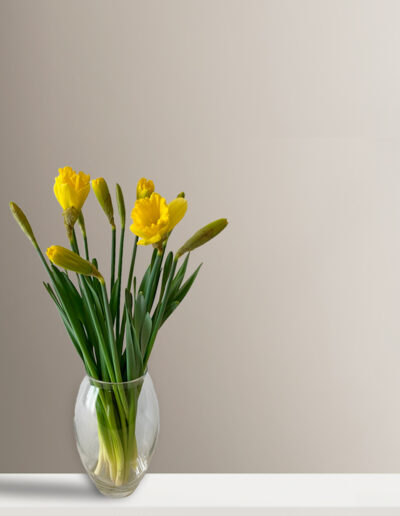 Narcisos en jarrón de cristal