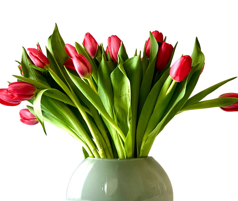 Tulipanes rojos en jarrón de cristal