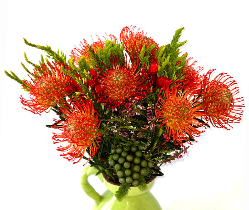 Ramo con Proteas y verdes africanos
