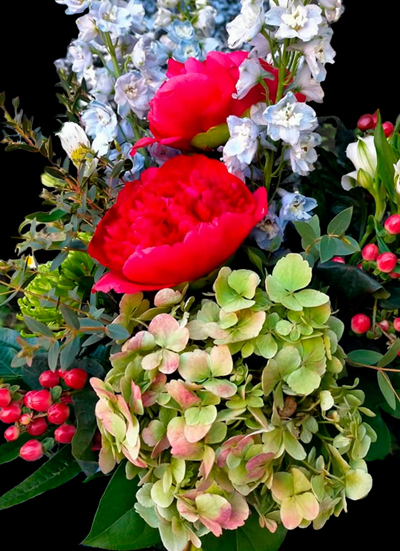 Ramo con Hortensias