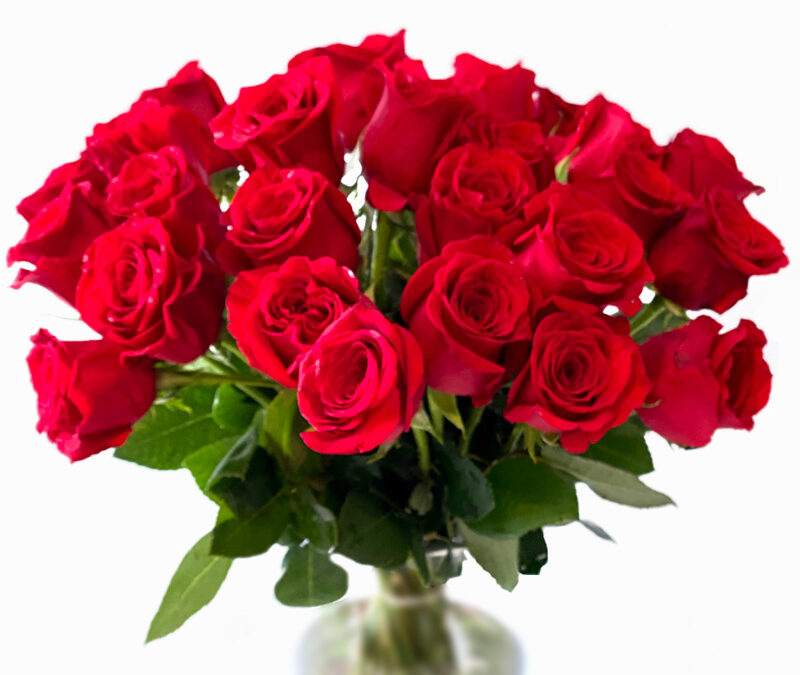 Ramo de 24 Rosas rojas