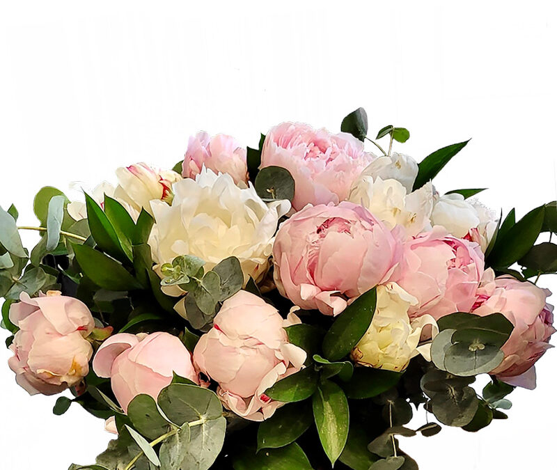 Ramo con Peonías en diferentes tonos